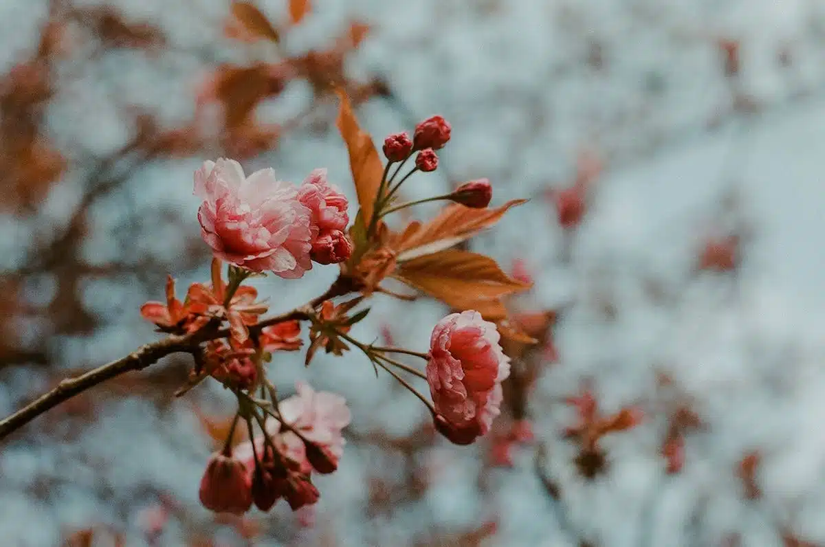 Créer un look naturel et frais pour le printemps : Guide ultime pour une allure printanière