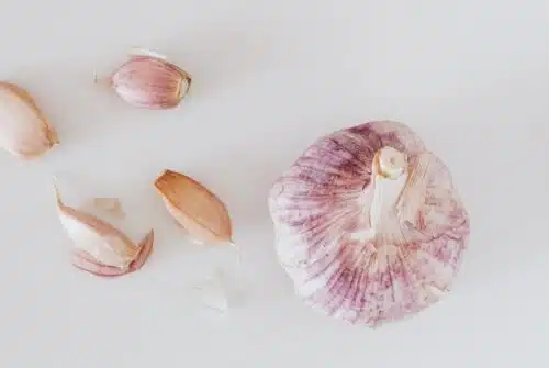 Découvrez les meilleurs remèdes naturels contre l’acné et les imperfections cutanées