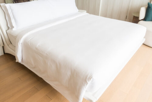 Comment une entreprise spécialisée peut prévenir les punaises de lit ?
