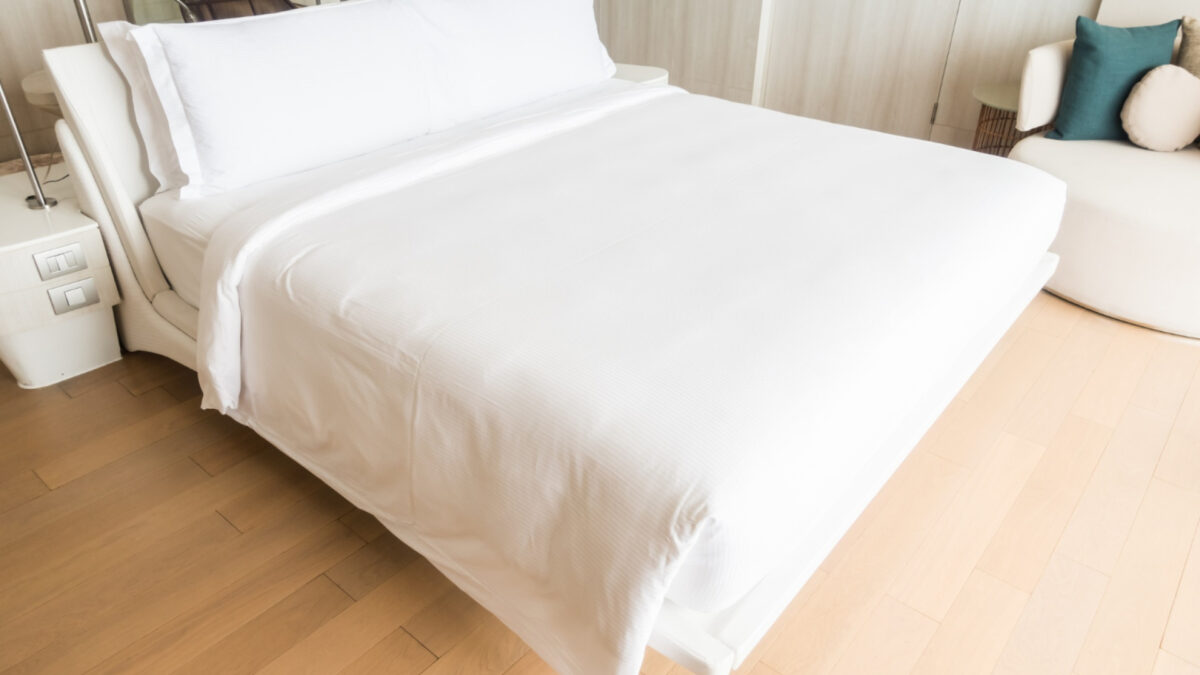Comment une entreprise spécialisée peut prévenir les punaises de lit ?