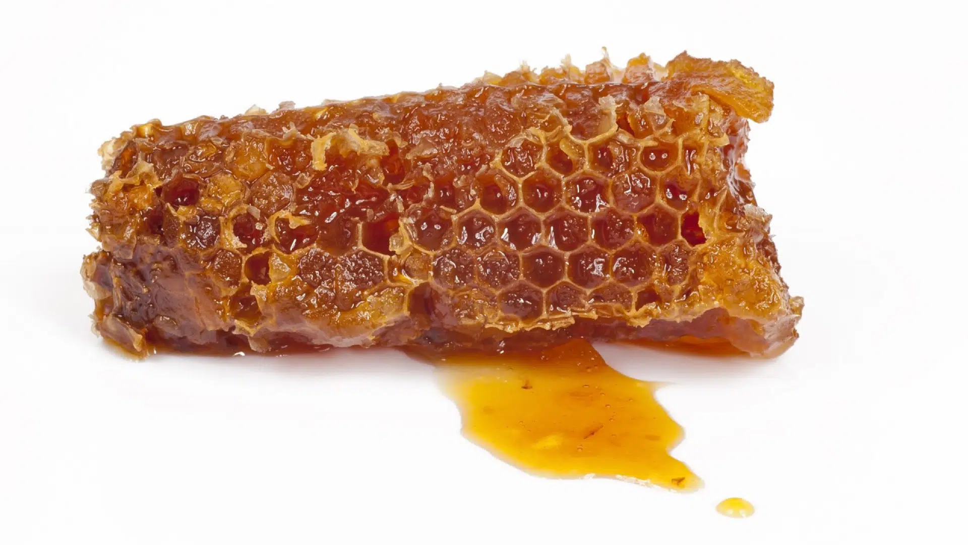 La propolis bio et ses avantages